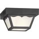 Ceiling Mount 1 Light 8.25 inch Textured Black Outdoor Flush Mount