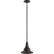 Hampshire 1 Light 12 inch Textured Black Outdoor Hanging Pendant