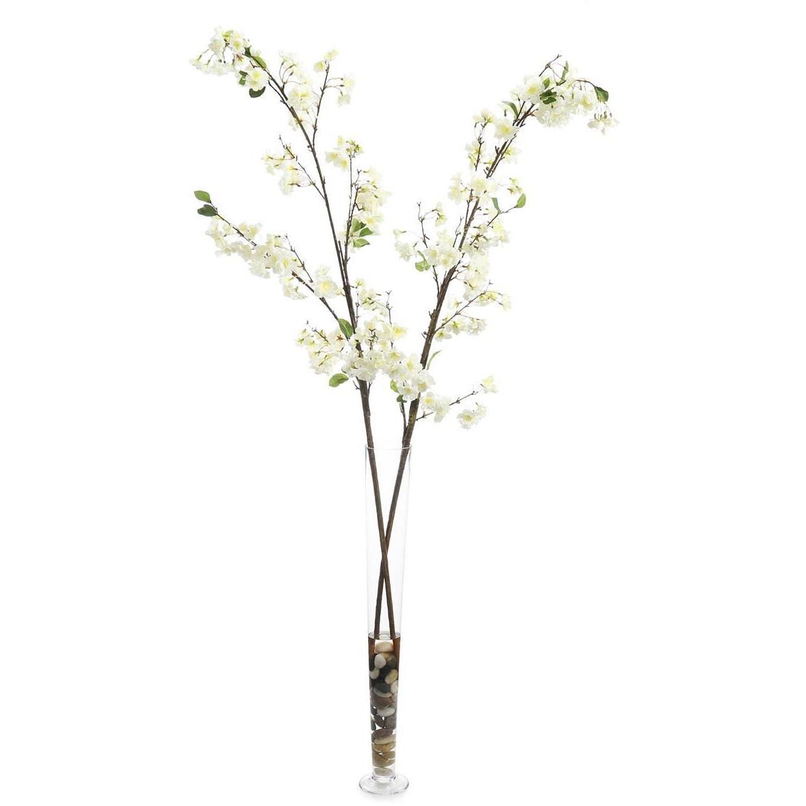 Cream Cherry Blossoms Floral