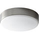 Journey 2 Light 14 inch Satin Nickel Flush Mount Ceiling Light