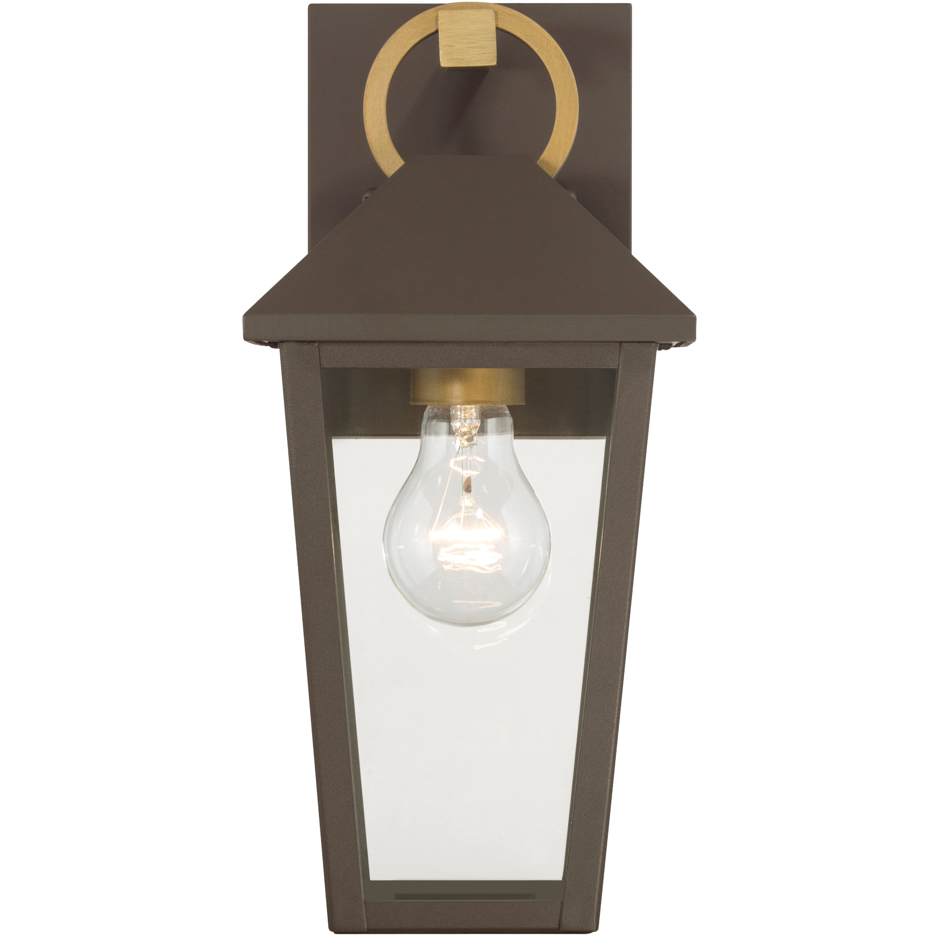 Bayra 1 Light 13 inch Painted Legacy Brass and Dark Bronze Outdoor Wall Lantern