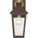 Bayra 1 Light 13 inch Painted Legacy Brass and Dark Bronze Outdoor Wall Lantern