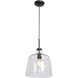 Simplicite 1 Light 11 inch Black Pendant Ceiling Light
