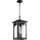 Harbor 3 Light 9.5 inch Noir Pendant Ceiling Light