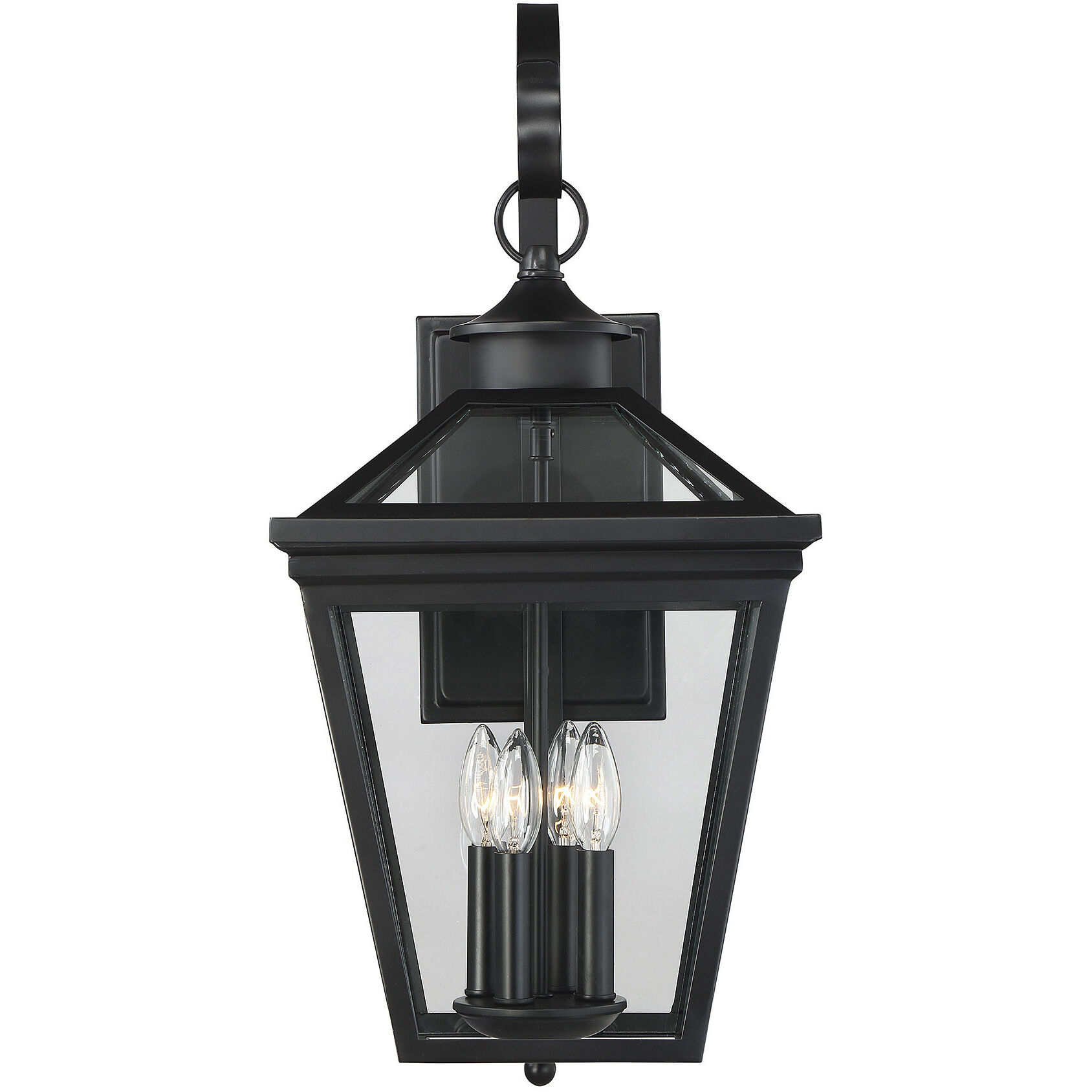 Ellijay Outdoor Wall Lantern in Black