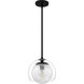 Eslinger 1 Light 10 inch Matte Black Mini Pendant Ceiling Light, Small