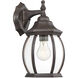 Transitional Outdoor Wall Lantern in Rustic Bronze