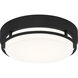 Hale LED 12 inch Earth Black Flush Mount Ceiling Light