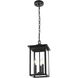 Carlisle 3 Light 9 inch Black Outdoor Pendant