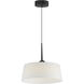 Paramount LED 16 inch Black Single Pendant Ceiling Light