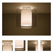 Pahu 1 Light 12 inch Satin Nickel Semi-Flush Mount Ceiling Light in Transparent Smoke/Opal Glass, Incandescent