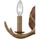 Elk Sconce Wall Light