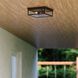 Clinton 2 Light 12 inch Matte Black Outdoor Ceiling
