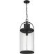 Roundhouse 1 Light 12 inch Black Outdoor Chain Mount Ceiling Fixture