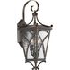 Cadence 2 Light 21 inch Oil Rubbed Bronze Outdoor Wall Lantern, Medium, Design Series
