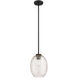 Razzle 1 Light 8.4 inch Black Pendant Ceiling Light