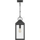 Thorpe 1 Light 8 inch Mottled Black Mini Pendant Ceiling Light, Small