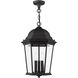 Hamilton 3 Light 12.5 inch Textured Black Outdoor Pendant Lantern