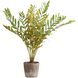 Zamia Green and Concrete Palm Acccent Planter