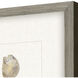 Oyster Shell / Shell Series Beige and Neutral Framed Art