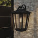 Darius 1 Light 18 inch Earth Black Outdoor Wall Light