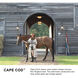 Cape Cod 1 Light 7 inch Burnished Bronze Outdoor Hanging