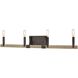 Transitions Vanity Light Wall Light