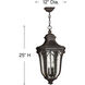 Trafalgar 3 Light 12 inch Mocha Outdoor Hanging Lantern