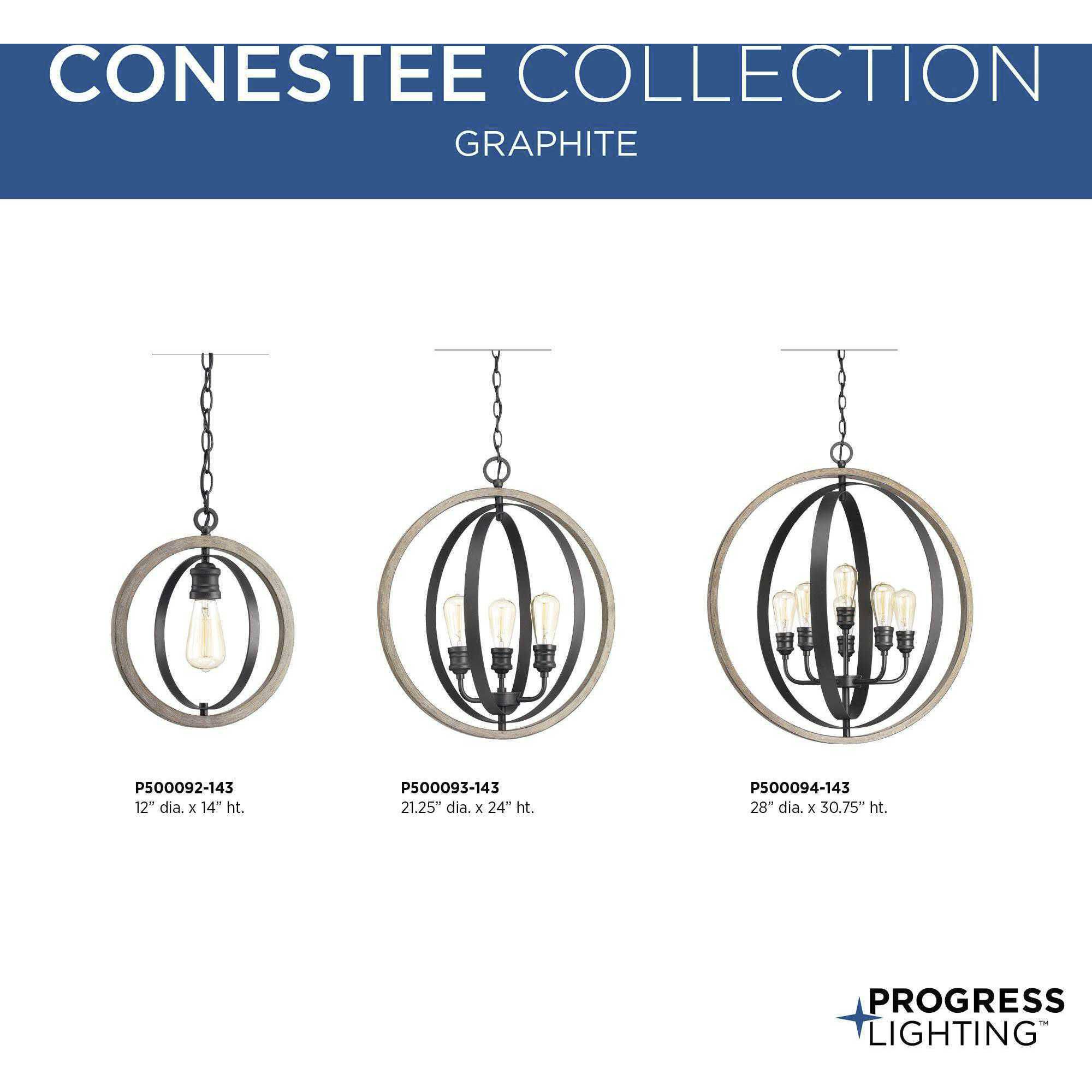 Conestee 6 Light 28 inch Graphite Pendant Ceiling Light