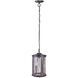 Madera 1 Light 9.06 inch Brushed Aluminum Outdoor Pendant, Large