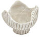 Clam Shell Beige Planter