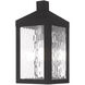 Nyack 1 Light 11 inch Black Outdoor Wall Lantern