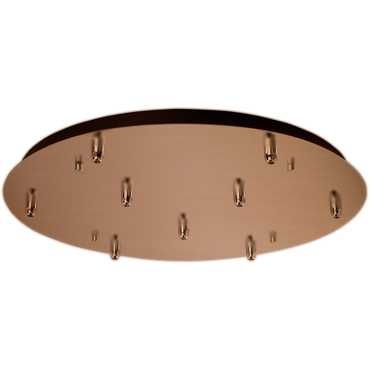 Las Vegas 1 Light Lighting Accessory