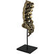 Vertebrae Brass Decor Accessory