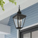 Adams 3 Light 10.63 inch Black with Brushed Nickel Finish Cluster Outdoor Large Pendant Lantern Ceiling Light in Black with Brushed Nickel Accent