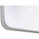 Remy 40 X 27 inch Silver Mirror