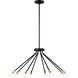 Graham 8 Light 30 inch Midnight Black Chandelier Ceiling Light
