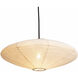 Roswell 1 Light 19.7 inch Matte Black Pendant Swag Light Ceiling Light