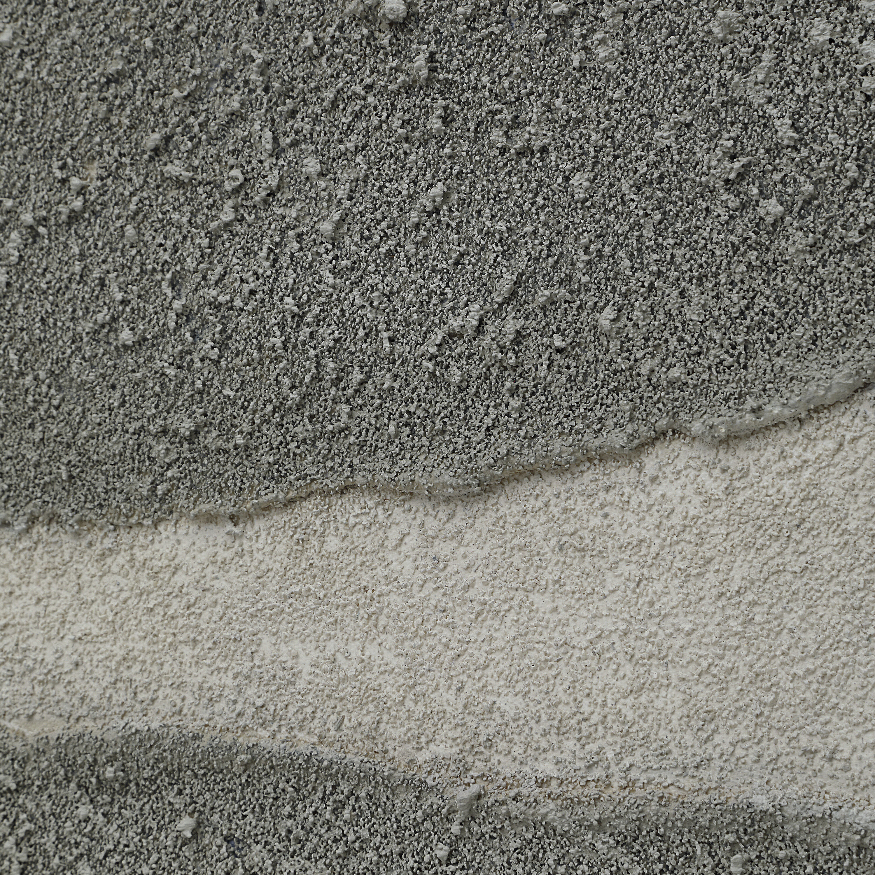 Orso Multicolor and Black Oak Canvas Art