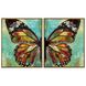 Wings of Wisdom 42 X 35 inch Giclee, Set of 2