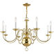 Williamsburgh 8 Light 32 inch Polished Brass Chandelier Ceiling Light