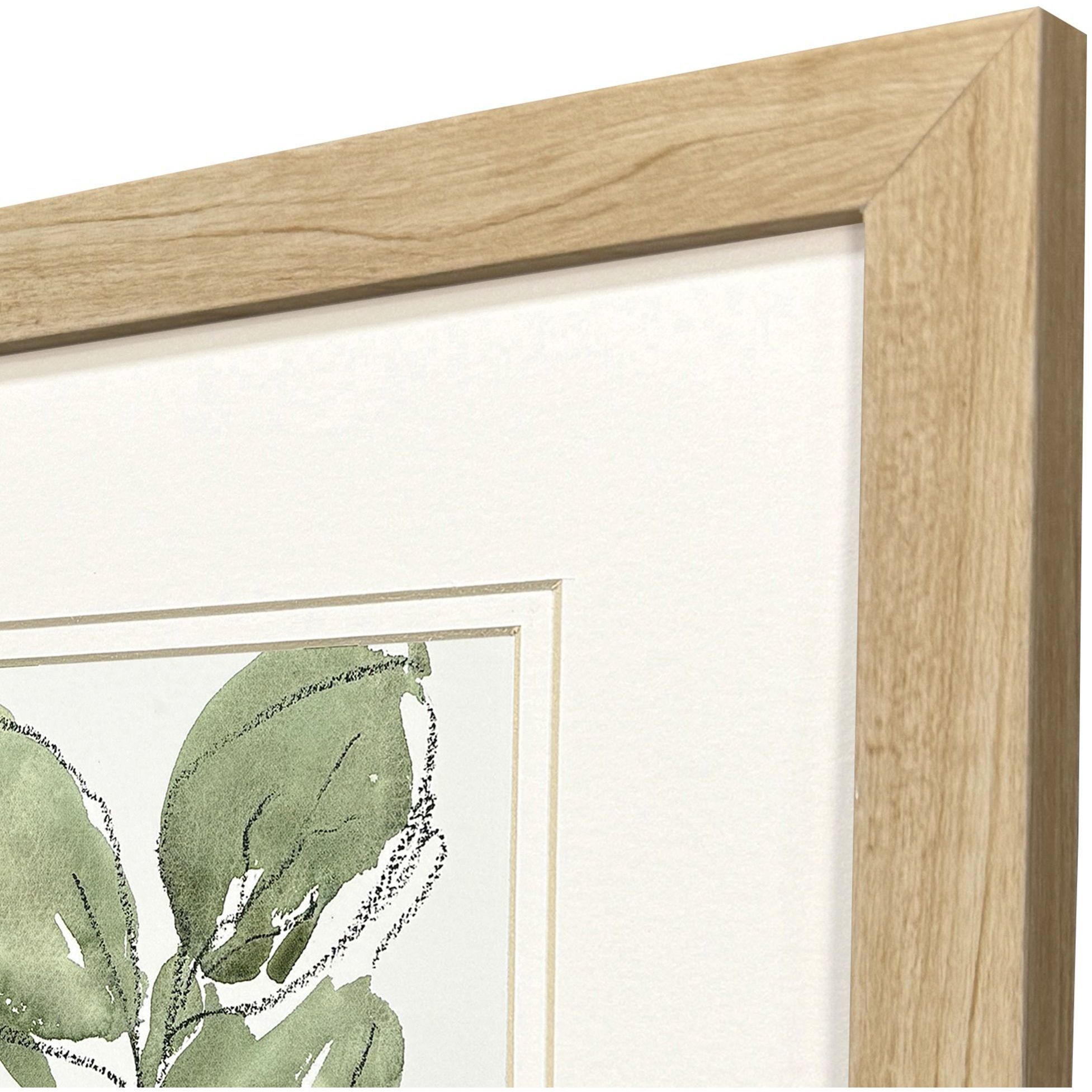 Summer Leaves Green and Black and White Framed Art, Propac