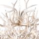 Cheyanne 12 Light 34 inch White Antler Chandelier Ceiling Light, Antler