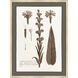 Lunchnis Brown and Beige and Neutral and Sepia Framed Art