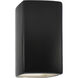 Ambiance Collection LED 13.5 inch Carbon Matte Black Outdoor Wall Sconce