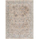 Carlisle 35 X 24 inch Taupe Rug, Rectangle