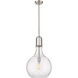 Amherst 1 Light 14 inch Brushed Satin Nickel Pendant Ceiling Light in Seedy Glass