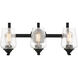 Shyloh 3 Light 2 inch Coal Bath Light Wall Light