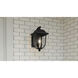 Mulberry 1 Light 14 inch Matte Black Outdoor Wall Lantern