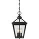 Ellijay 3 Light 9 inch Black Outdoor Hanging Lantern